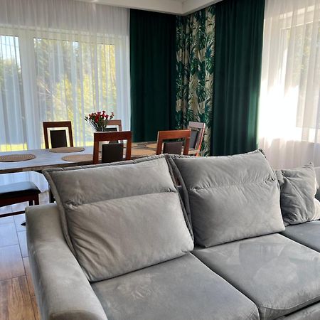 Dom Na Borowkowym Wzgorzu Apartman Palesnica Kültér fotó
