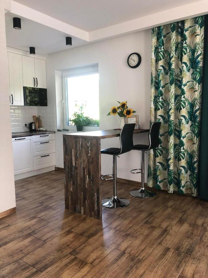 Dom Na Borowkowym Wzgorzu Apartman Palesnica Kültér fotó