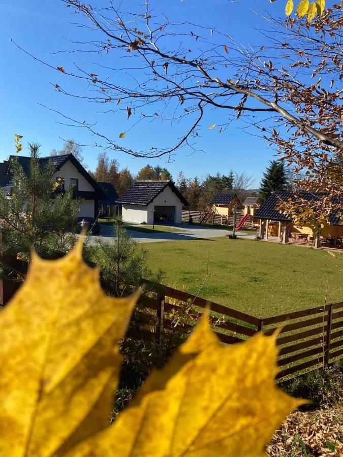 Dom Na Borowkowym Wzgorzu Apartman Palesnica Kültér fotó